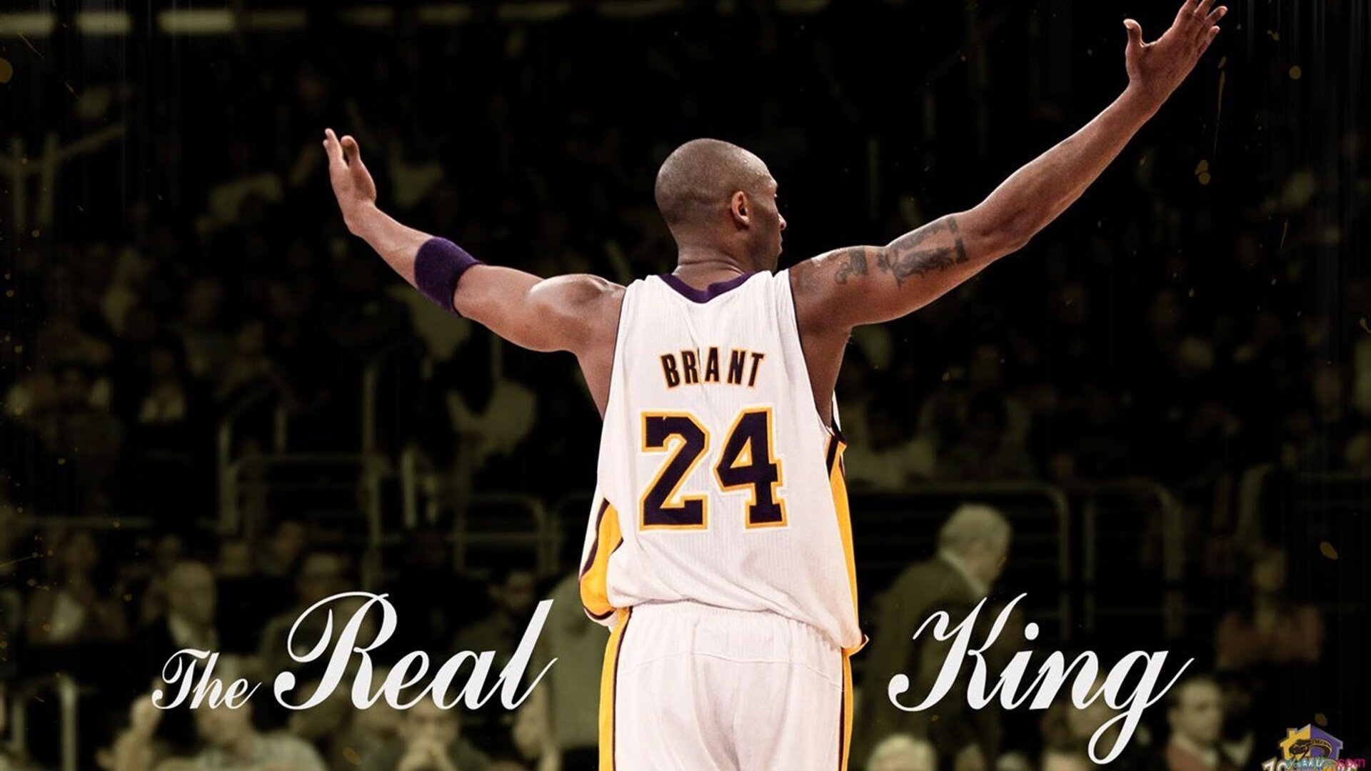 KY Sports-“荒野追逐：沙漠与山林的极限比拼”，荒野沙漠枪战动作片叫什么名字